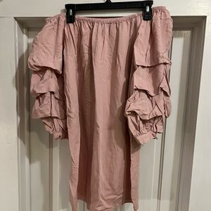 Medium - Blush Ruffle Sleeve Dress - American Eagle Outfitters